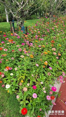 【靜美時(shí)分】+色彩繽紛