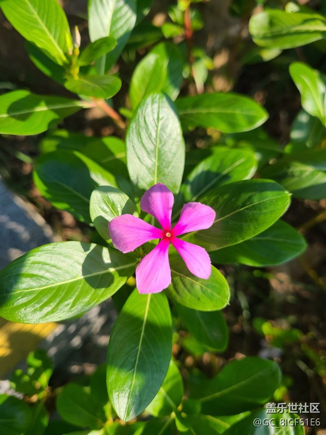 【五顏六色的秋天】彩色秋天
