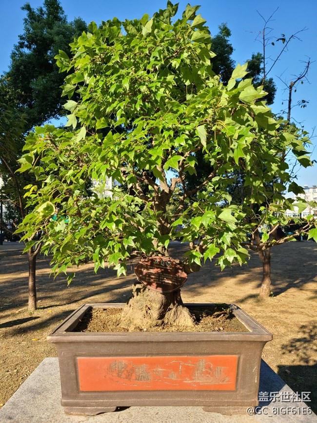 【五顏六色的秋天】彩色秋天