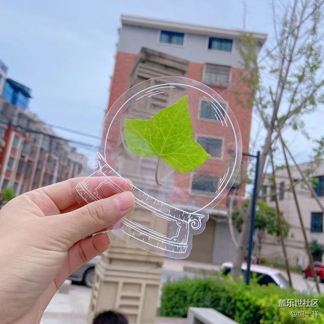 【Galaxy影像】自然的律動+ 秋天的顏色