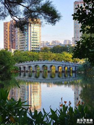 【靜美時(shí)分】+公園散步隨手拍