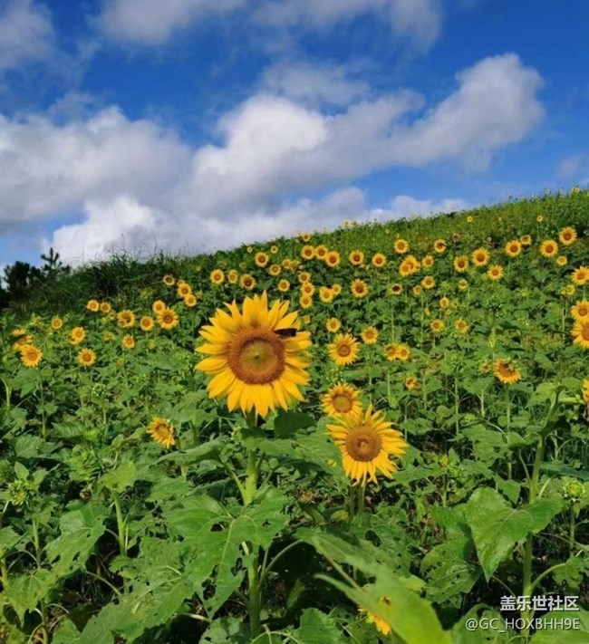 【留存的照片】家鄉(xiāng)美景