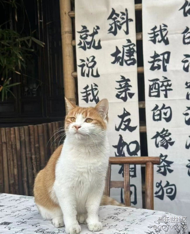 【與國同慶】美好生活