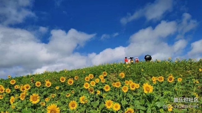 【留存的照片】家鄉(xiāng)美景