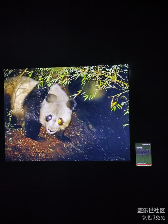 國家地理攝影回顧貼