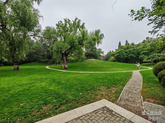 【Galaxy影像】自然的律動+爬山虎