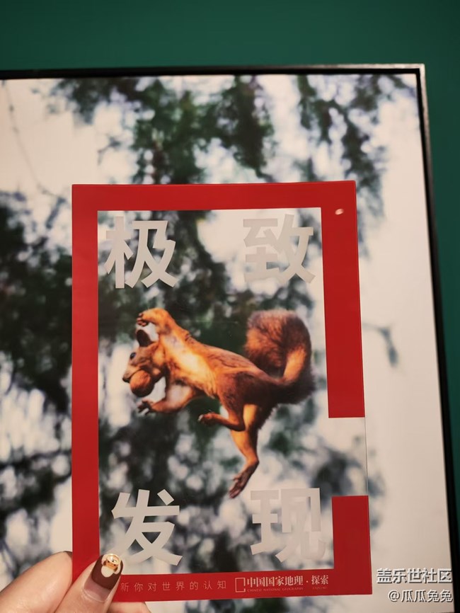 國家地理攝影回顧貼