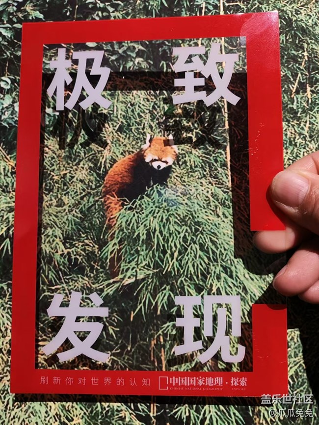 國家地理攝影回顧貼