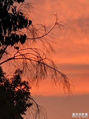 【靜美時(shí)分】+夕陽無限好