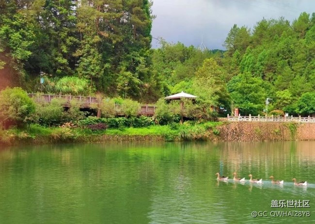 【留存的照片】大自然的動(dòng)物