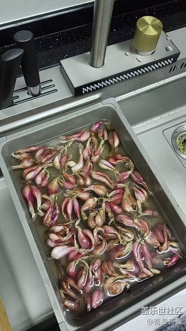 【留存的照片】種花