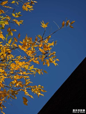 【靜美時分】+日常隨拍