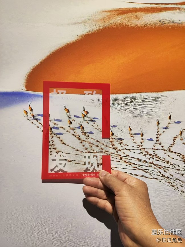 國家地理攝影回顧貼