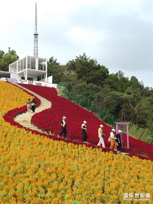 【靜美時分】山頂花園