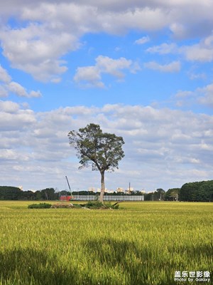 【靜美時分】+深秋的田野上