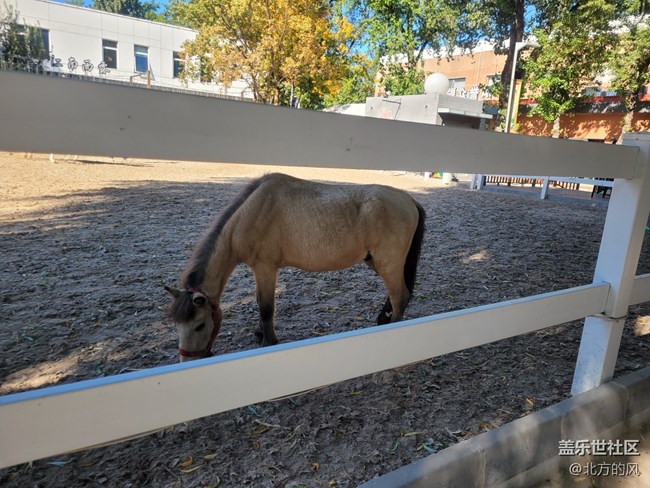 【北投奧園】+秋日陽光下的運(yùn)動愉悅