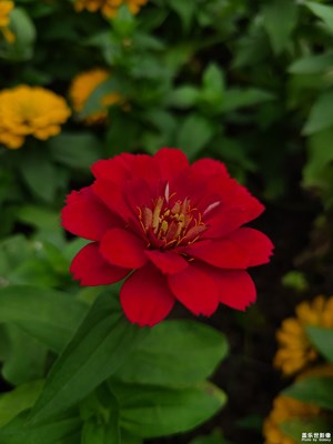 【靜美時分】+靜美秋天