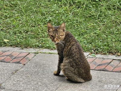 【靜美時(shí)分】秋日靜享