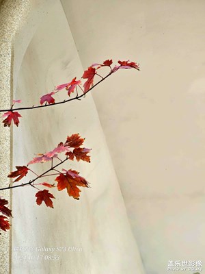 霜葉紅于二月花