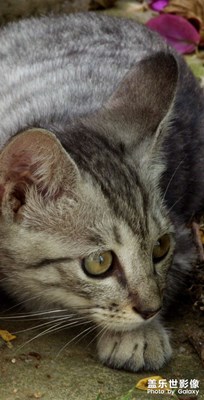 【靜美時分】生活趣味