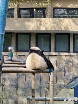 天津動物園隨拍