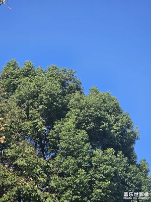 【靜美時分】+秋日