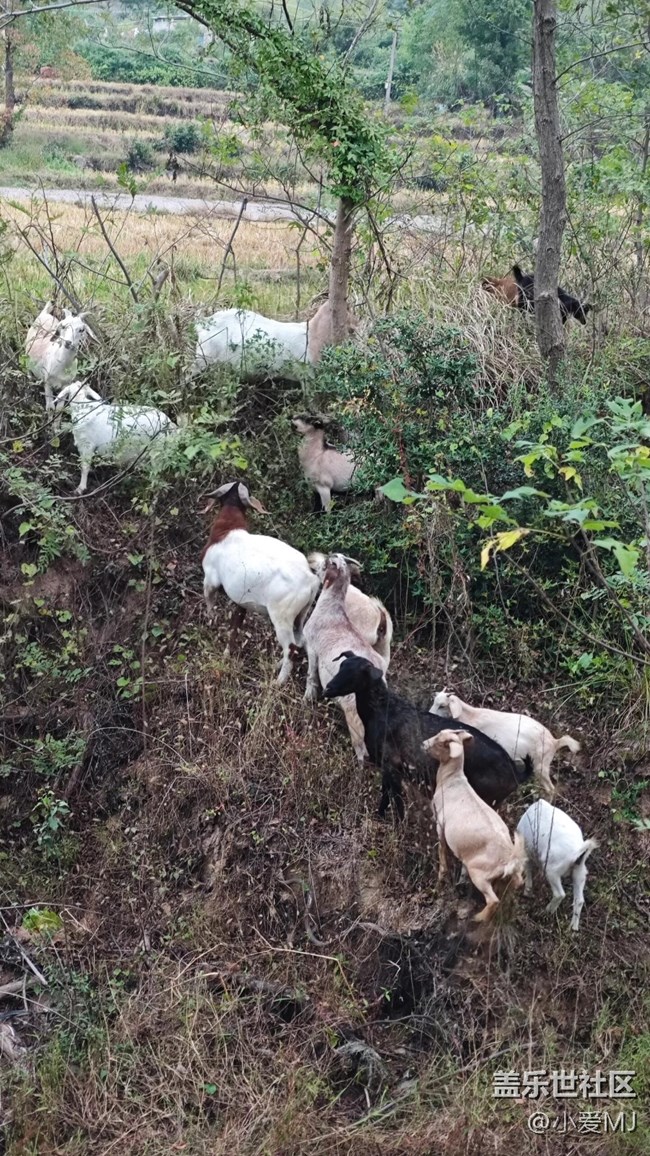 【Galaxy影像】自然的律動+ 回歸自然