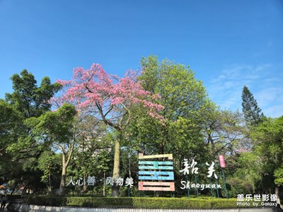 走走逛逛，公園一角