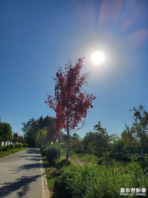 【靜美時(shí)分】+ 秋日午后