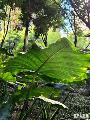 【靜美時(shí)分】暖秋隨拍