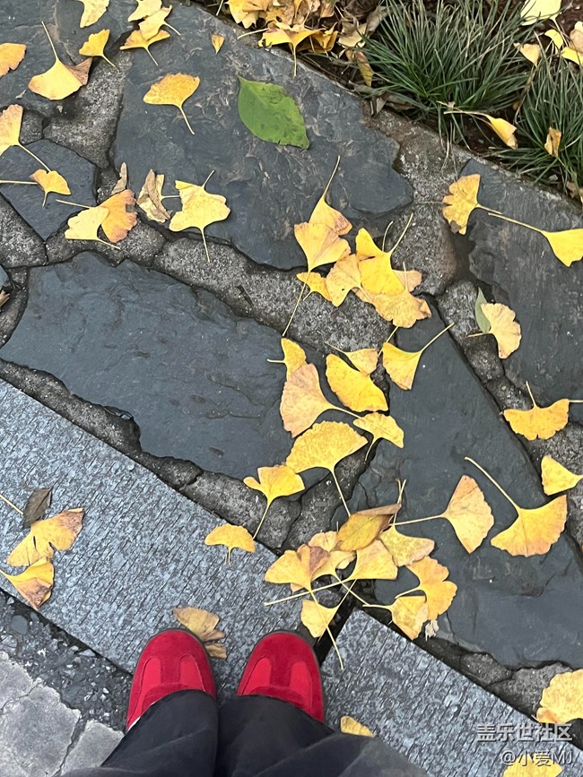 【紅韻流彩】仔細看！