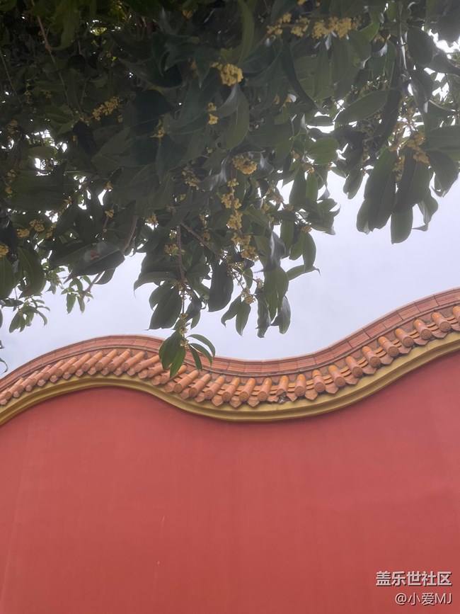 【紅韻流彩】仔細看！