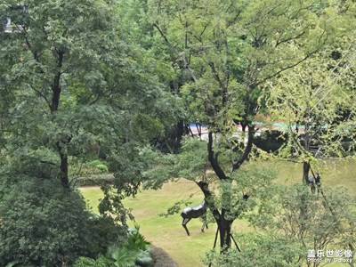 【靜美時分】+一個人的時光