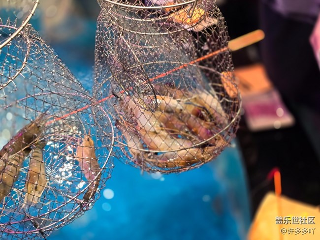 10月13號釣蝦時(shí)刻線下攝影活動