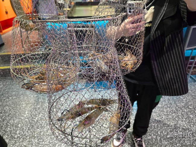 10月13號釣蝦時(shí)刻線下攝影活動