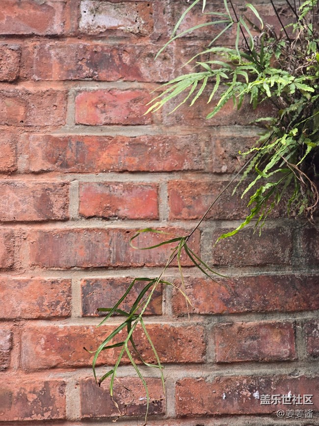 #十月中的小美好——記錄