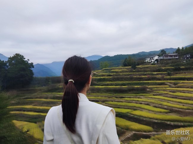 #十月中的小美好——擁抱自然