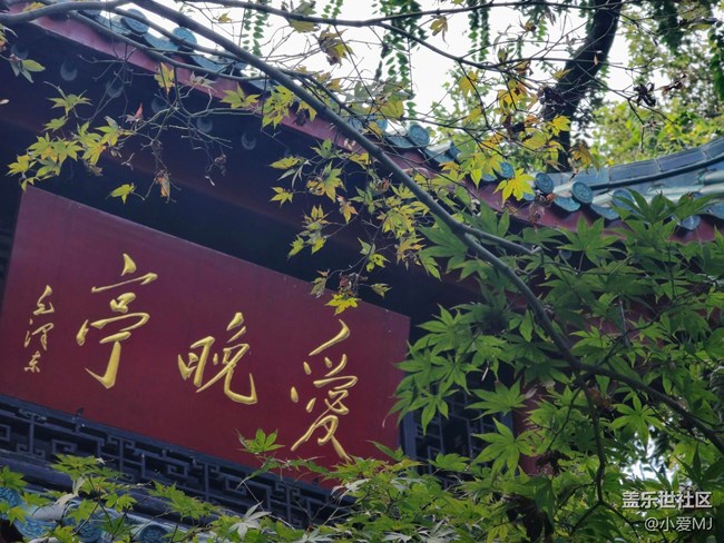 【紅韻流彩】仔細看！