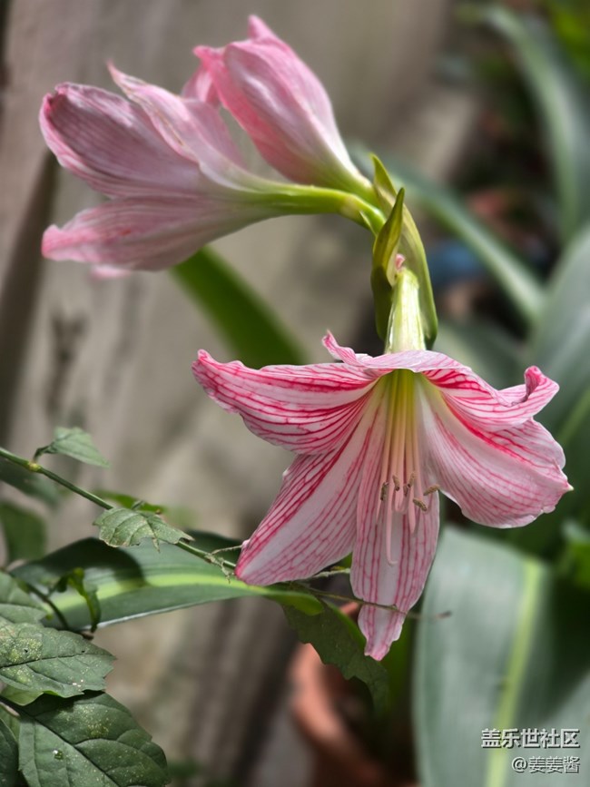 #十月中的小美好——記錄