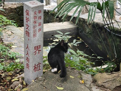 【靜美時分】享受