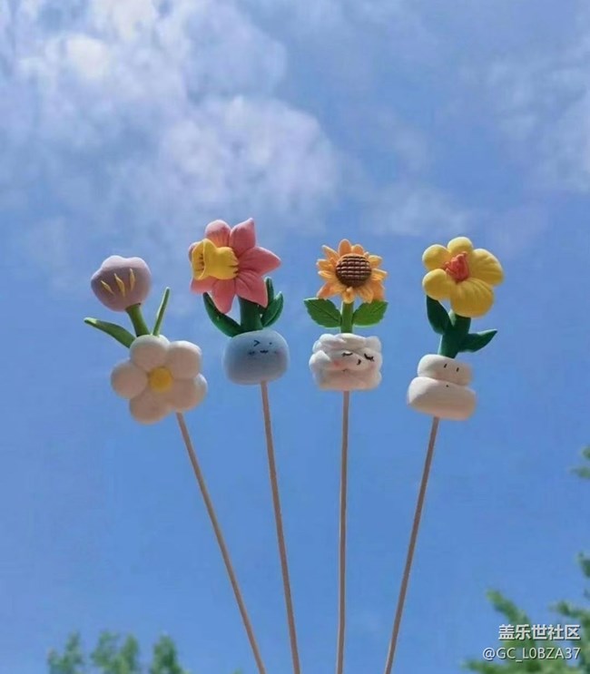 【留存的照片】棉花糖