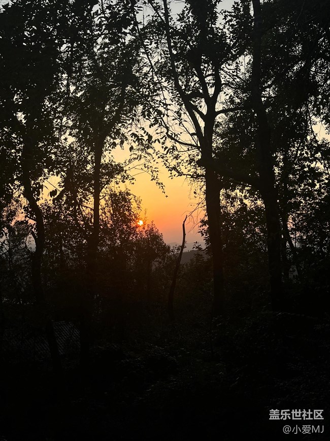 【留存的照片】夕陽