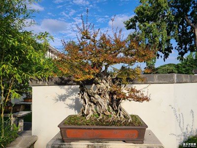 【靜美時分】+靜態(tài)之美