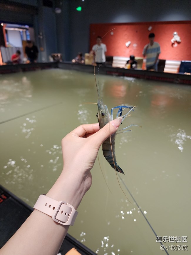 釣蝦時刻線下攝影活動 釣蝦時刻線下攝影活動