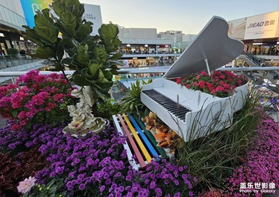 年少旋律與美好瞬間