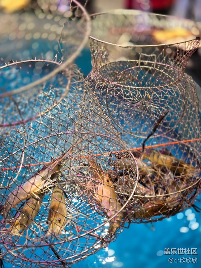 釣蝦時刻線下攝影活動 釣蝦時刻線下攝影活動