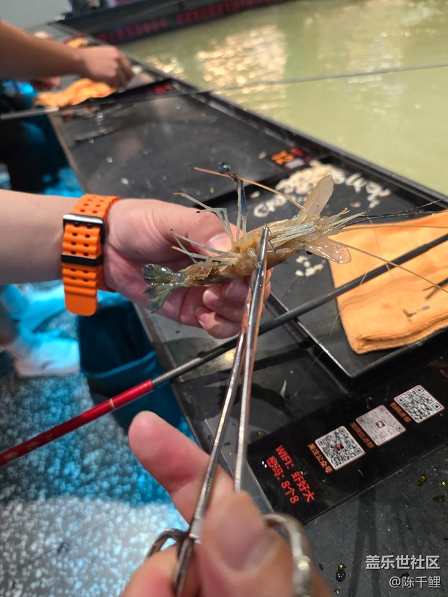 ?? 釣蝦時刻攝影活動回顧 | 10月13日