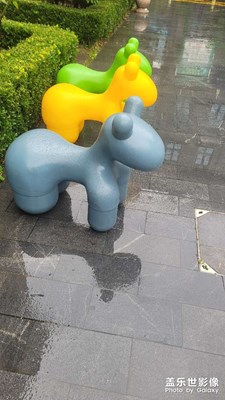 【我眼前的世界】+清新宜人