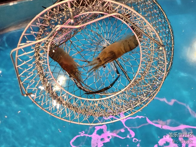 釣蝦時刻線下攝影活動 釣蝦時刻線下攝影活動