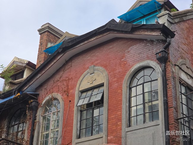 #十月中的小美好——馬路